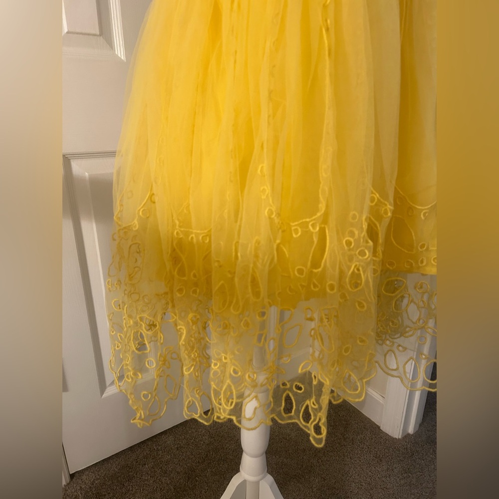 Anthropologie Let Me Be Eyelet Tulle Mini Dress NWT! - Picture 11 of 16